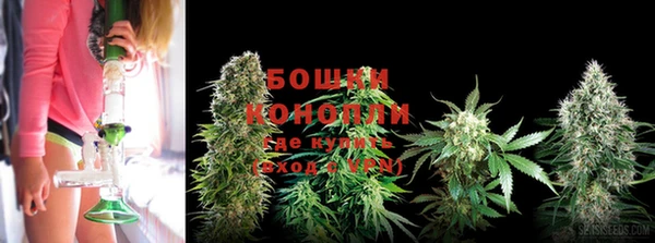 шишки Алзамай