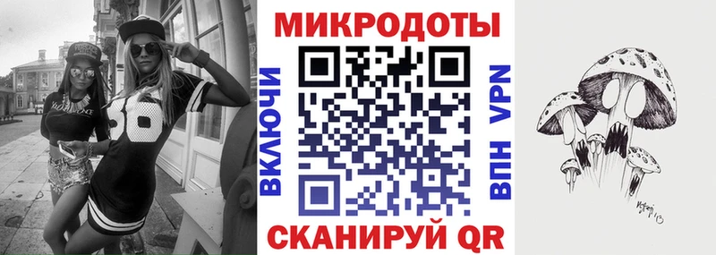 где купить   Заинск  Галлюциногенные грибы MAGIC MUSHROOMS 