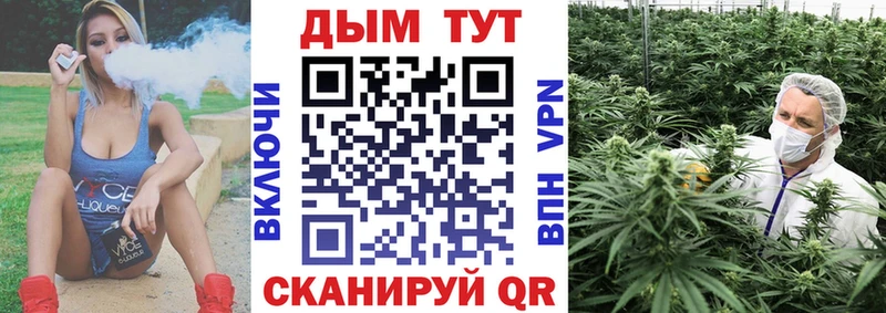 Бошки Шишки планчик  Заинск 
